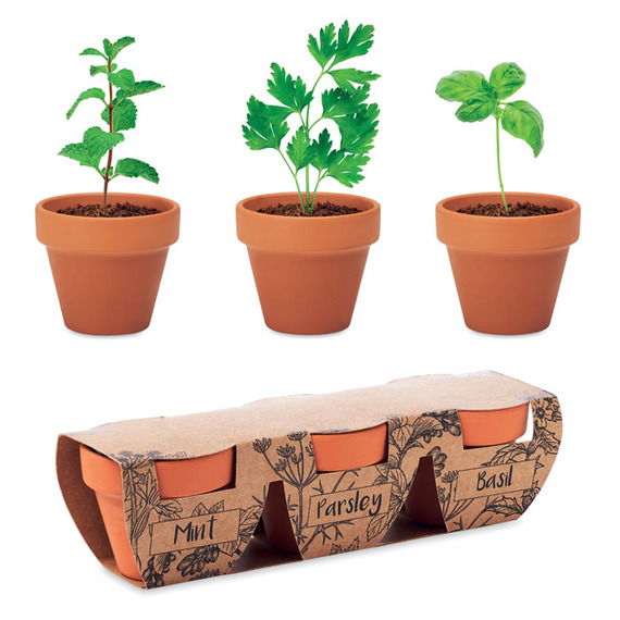 Ensemble de 3 pots en terre cuite personnalisable