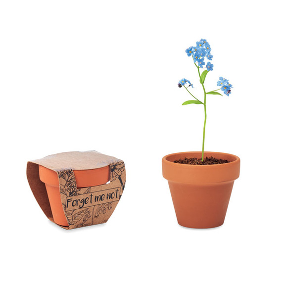 Petit pot en terre cuite publicitaire contenant des graines de myosotis