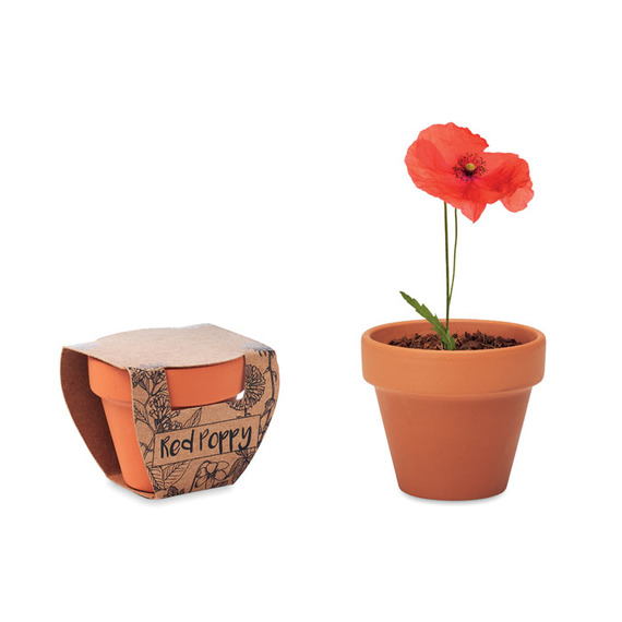 Petit pot en terre cuite publicitaire contenant des graines de coquelicot