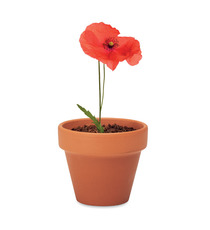 Petit pot en terre cuite publicitaire contenant des graines de coquelicot