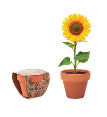 Petit pot en terre cuite publicitaire contenant des graines de tournesol