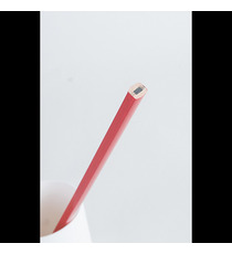 Crayon professionnel personnalisable Charpentier vernis pantone