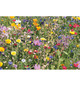 Sachet kraft personnalisable semences mélangées de fleurs d'été Made in Europe