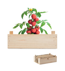 Kit de culture de tomates personnalisable dans une caisse en bois Made in Europe