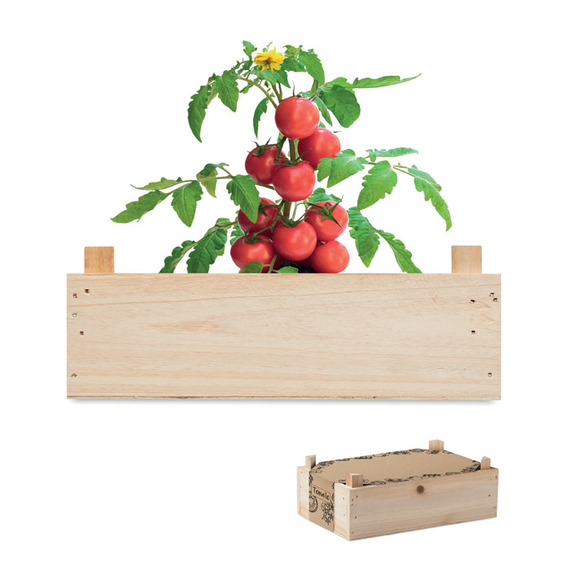 Kit de culture de tomates personnalisable dans une caisse en bois Made in Europe