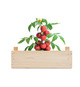 Kit de culture de tomates personnalisable dans une caisse en bois Made in Europe