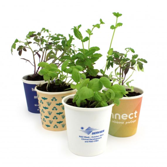 Kit publicitaire de plantation Pot Carton - 6 cm