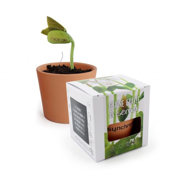 Kit de plantation publicitaire avec graines en pot terre cuite 10 cm