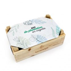 Kit de plantation en cagette bois publicitaire