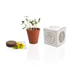 Le cube de plantation publicitaire 10 cm