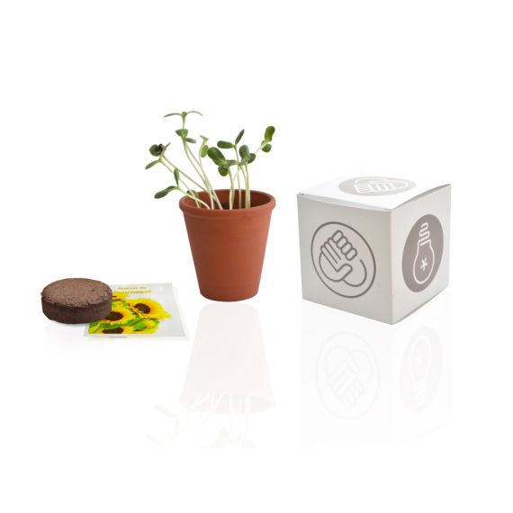 Le cube de plantation publicitaire 10 cm