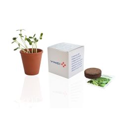 Le cube de plantation publicitaire 10 cm