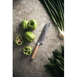 Couteau publicitaire Santoku Hattasan Damascus VINGA