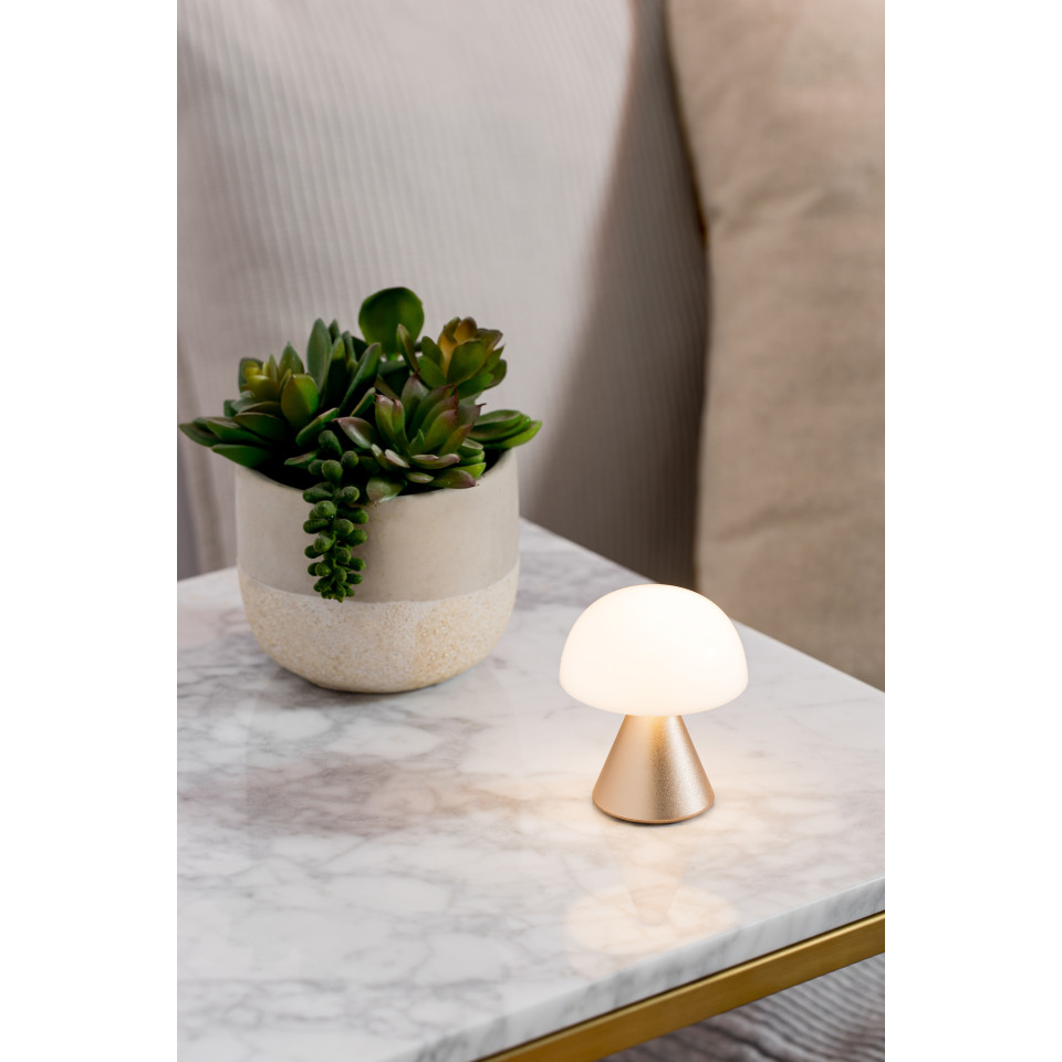 Mini  lampe LED publicitaire