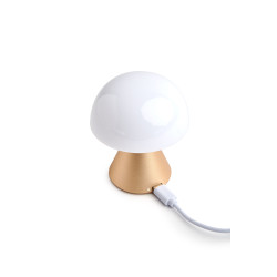 Mini  lampe LED publicitaire