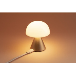 Mini  lampe LED publicitaire