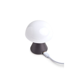 Mini  lampe LED publicitaire