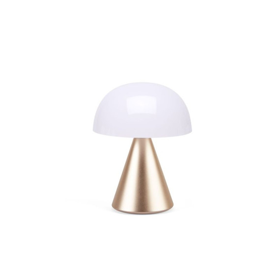 Grande lampe publicitaire LED portative