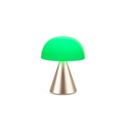 Grande lampe publicitaire LED portative
