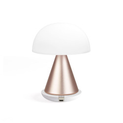 Grande lampe publicitaire LED portative