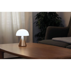 Grande lampe publicitaire LED portative