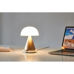 Grande lampe publicitaire LED portative