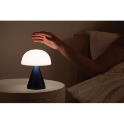 Grande lampe publicitaire LED portative