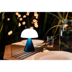 Grande lampe publicitaire LED portative