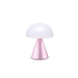 Grande lampe publicitaire LED portative