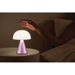 Grande lampe publicitaire LED portative