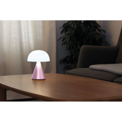 Grande lampe publicitaire LED portative