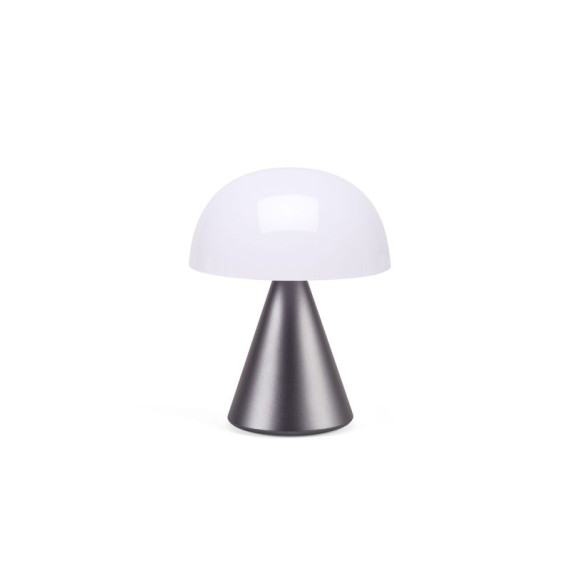 Grande lampe publicitaire LED portative