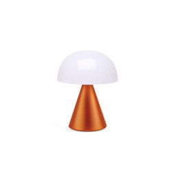 Grande lampe publicitaire LED portative