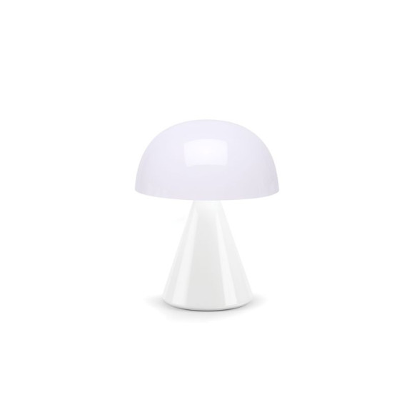 Grande lampe publicitaire LED portative