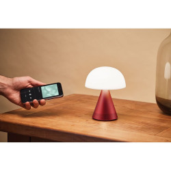 Grande lampe publicitaire audio DEL portative