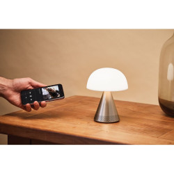 Grande lampe publicitaire audio DEL portative