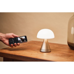 Grande lampe publicitaire audio DEL portative