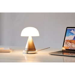 Grande lampe publicitaire audio DEL portative