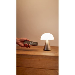 Grande lampe publicitaire audio DEL portative