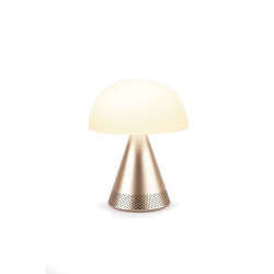 Grande lampe publicitaire audio DEL portative