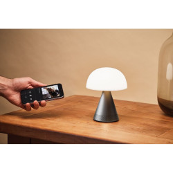 Grande lampe publicitaire audio DEL portative