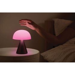 Grande lampe publicitaire audio DEL portative