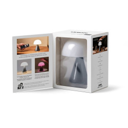 Grande lampe publicitaire audio DEL portative