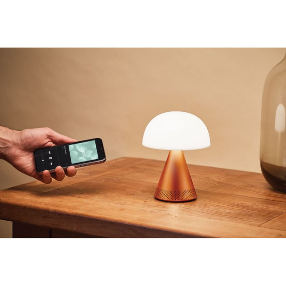 Grande lampe publicitaire audio DEL portative