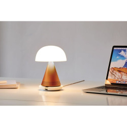 Grande lampe publicitaire audio DEL portative