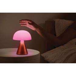 Grande lampe publicitaire audio DEL portative