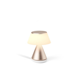 Lampe publicitaire LED portative avec fonction de synchronisation exclusive des ampoules mutliples