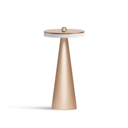 Diffuseur publicitaire maison pour brume froide et huiles essentielles avec ambiance LED Diffuseur publicitaire maison pour brume froide et huiles essentielles avec ambiance LED
