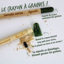 Crayon publicitaire avec graines à planter Sprout