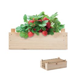 Kit de culture de fraises personnalisable avec compost et caisse en bois fabriqué en Europe 